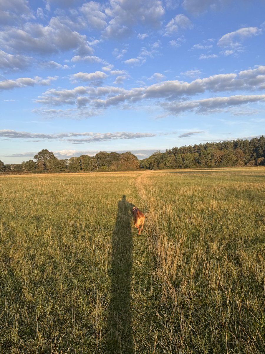 Side Hustle Houses tweet media