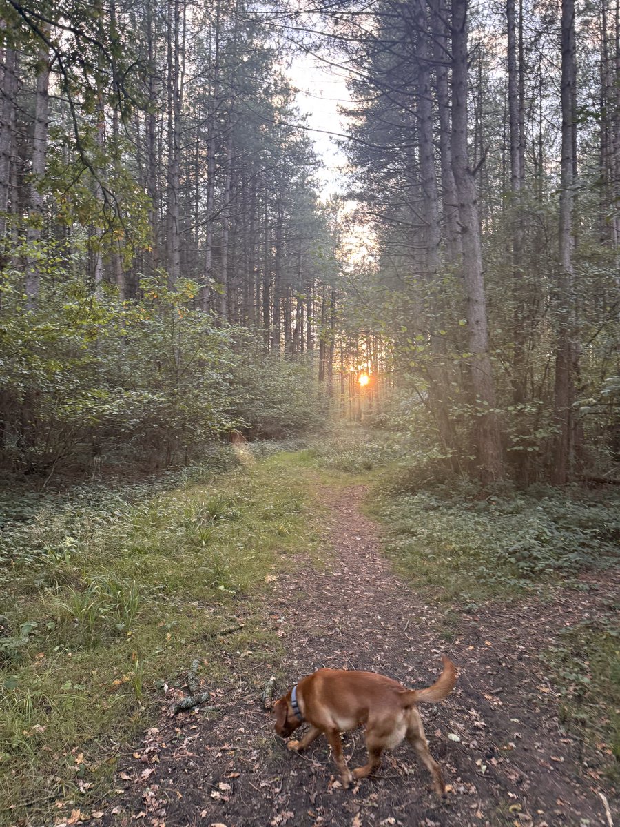 Side Hustle Houses tweet media