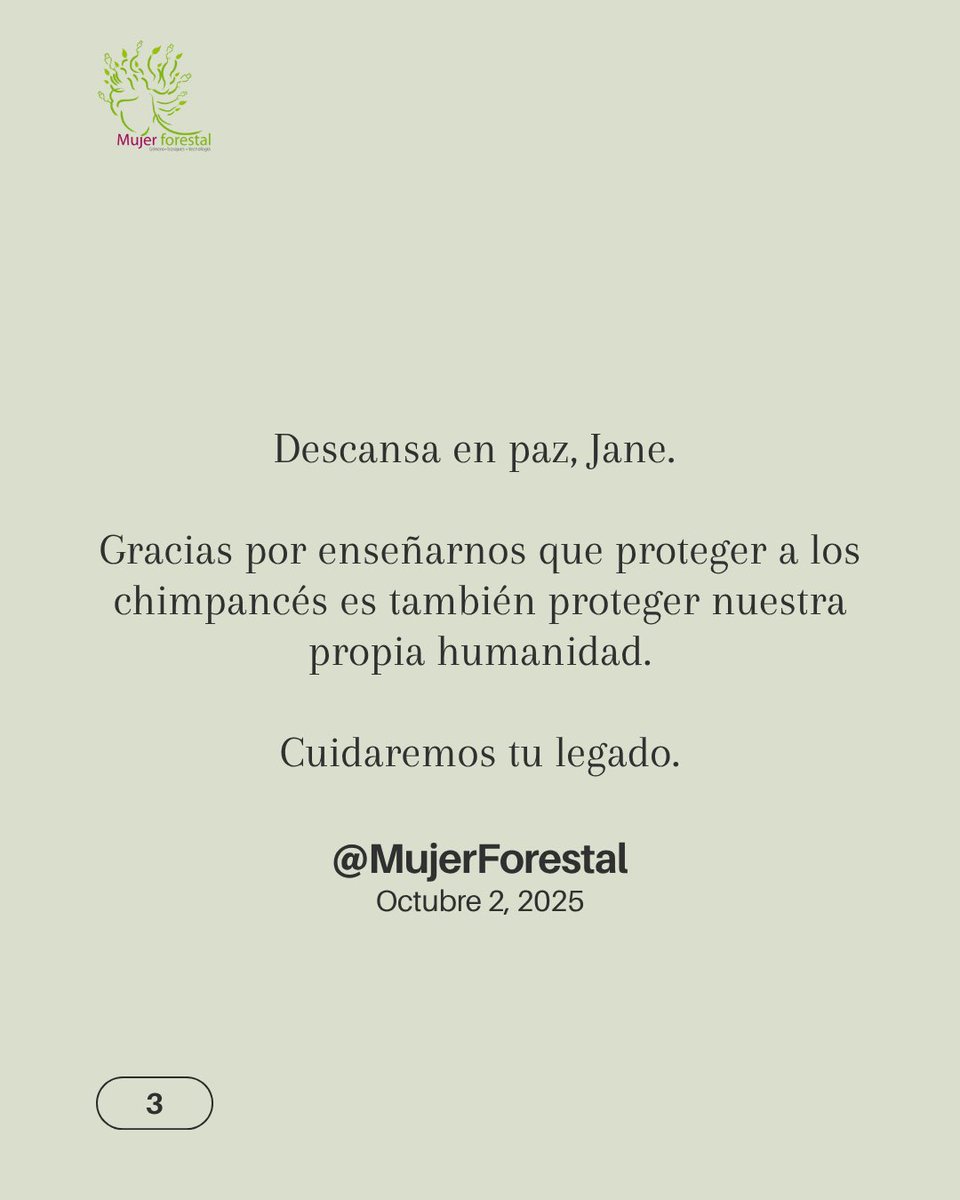 Lili Cruz tweet media