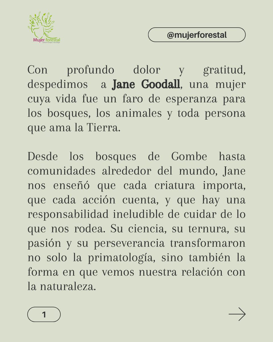 Lili Cruz tweet media