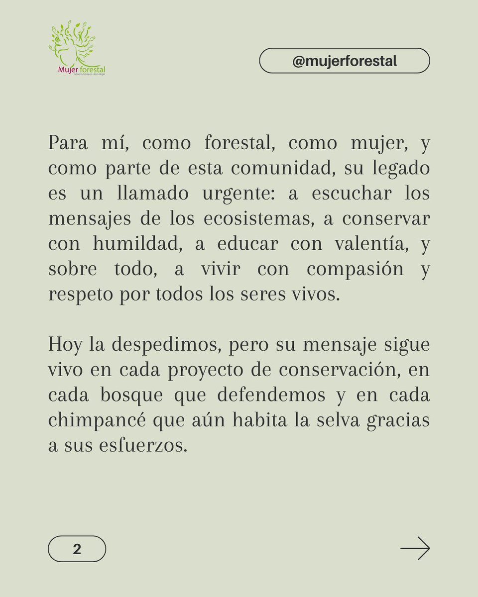 Lili Cruz tweet media