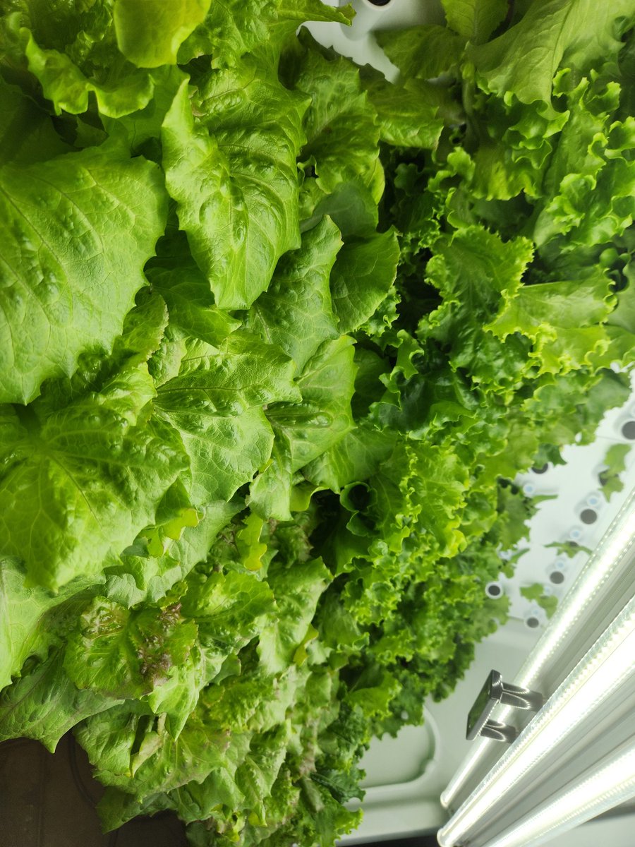 Mrs Jones tweet media