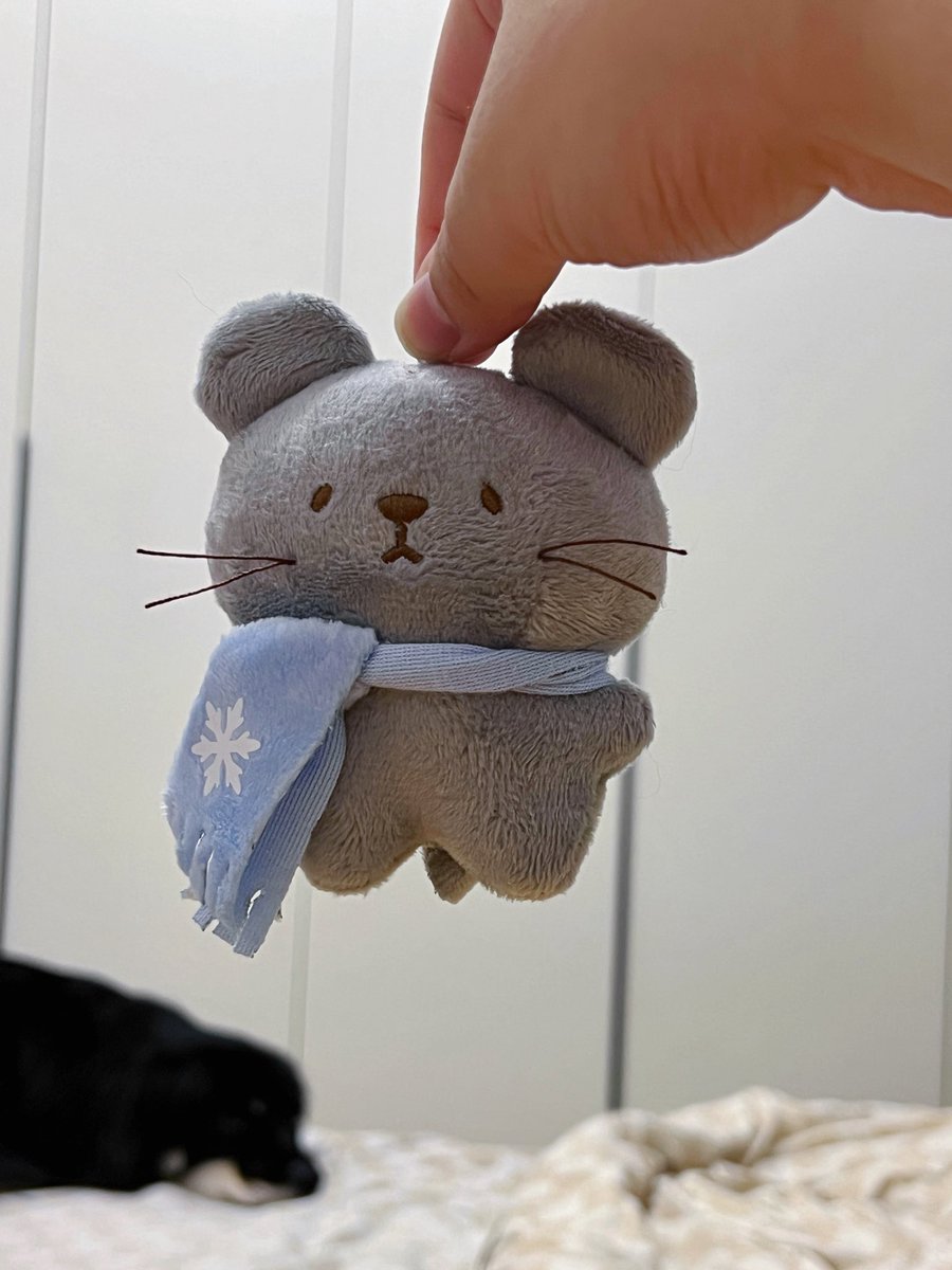 AKIdolls's tweet photo. 耗子🐭 https://t.co/TO2FAdM8GC