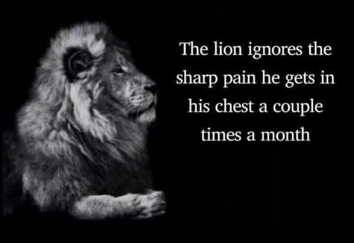 one of ur hoes tweet media