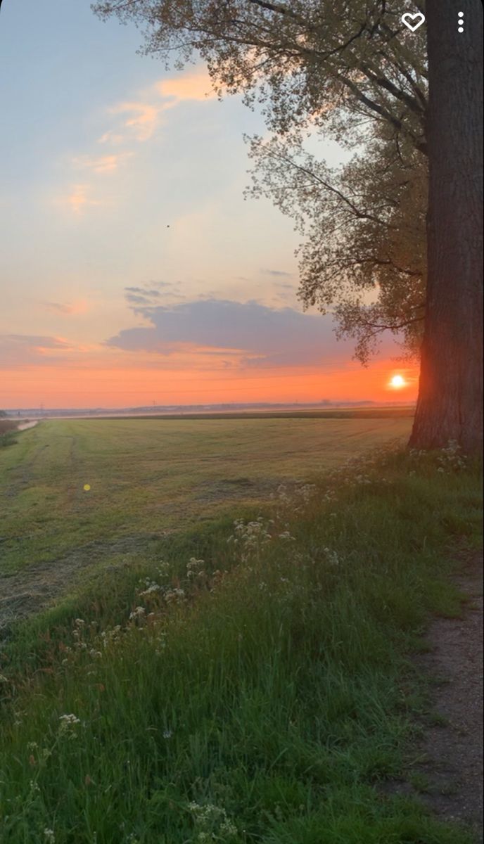 tuitsyalgomas's tweet image. 📸