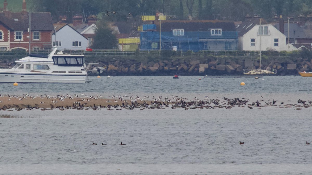 Stuart Line Cruises tweet media