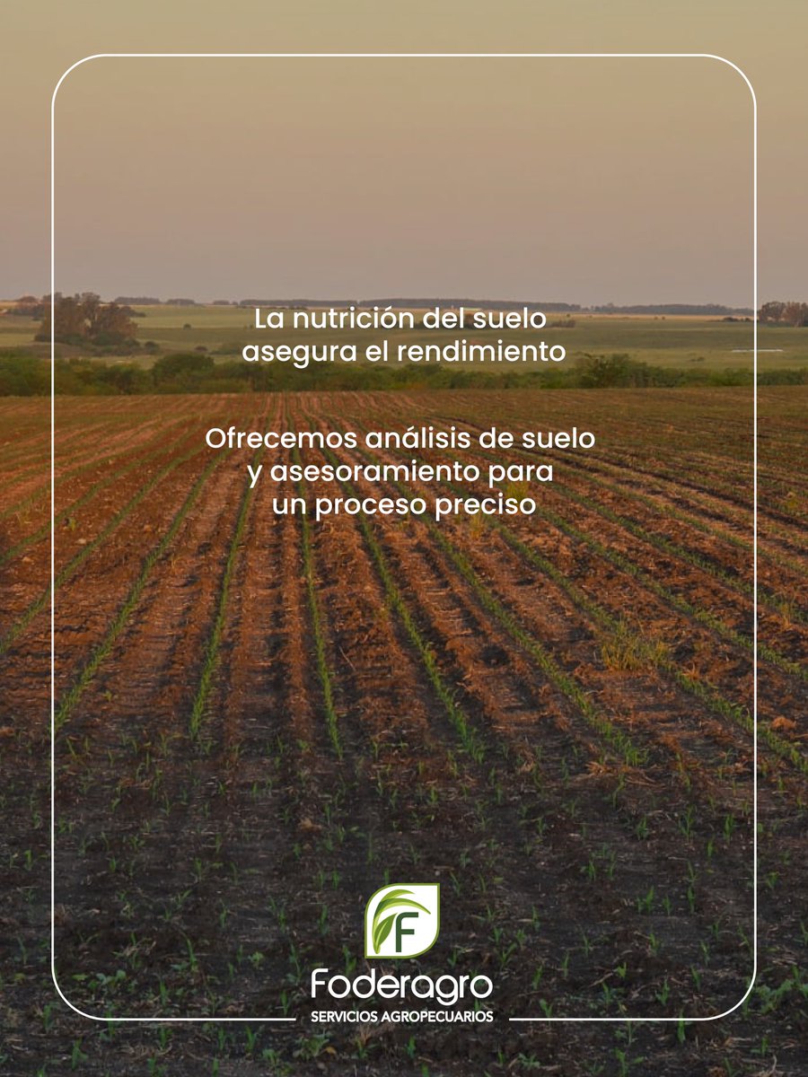 foderagro's tweet image. En Foderagro trabajamos junto al productor para potenciar cada etapa del campo. 🌱🚜

Aportamos conocimiento, insumos y soluciones que mejoran la productividad de los cultivos y la sustentabilidad del suelo.

Porque el futuro del agro se construye hoy, y lo hacemos creciendo…