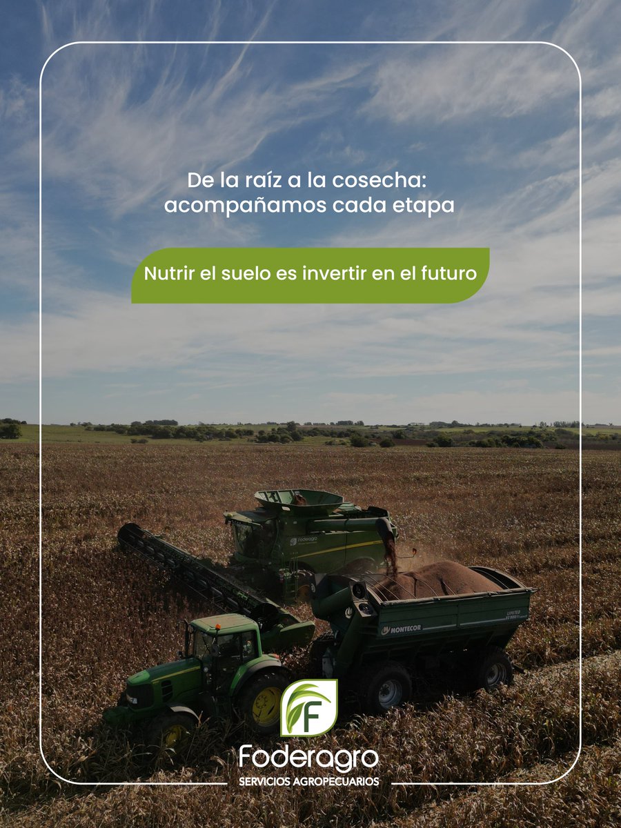 foderagro's tweet image. En Foderagro trabajamos junto al productor para potenciar cada etapa del campo. 🌱🚜

Aportamos conocimiento, insumos y soluciones que mejoran la productividad de los cultivos y la sustentabilidad del suelo.

Porque el futuro del agro se construye hoy, y lo hacemos creciendo…