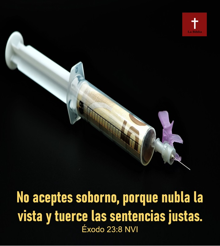La_Biblia_Post's tweet photo. https://t.co/8HyUw95mkp