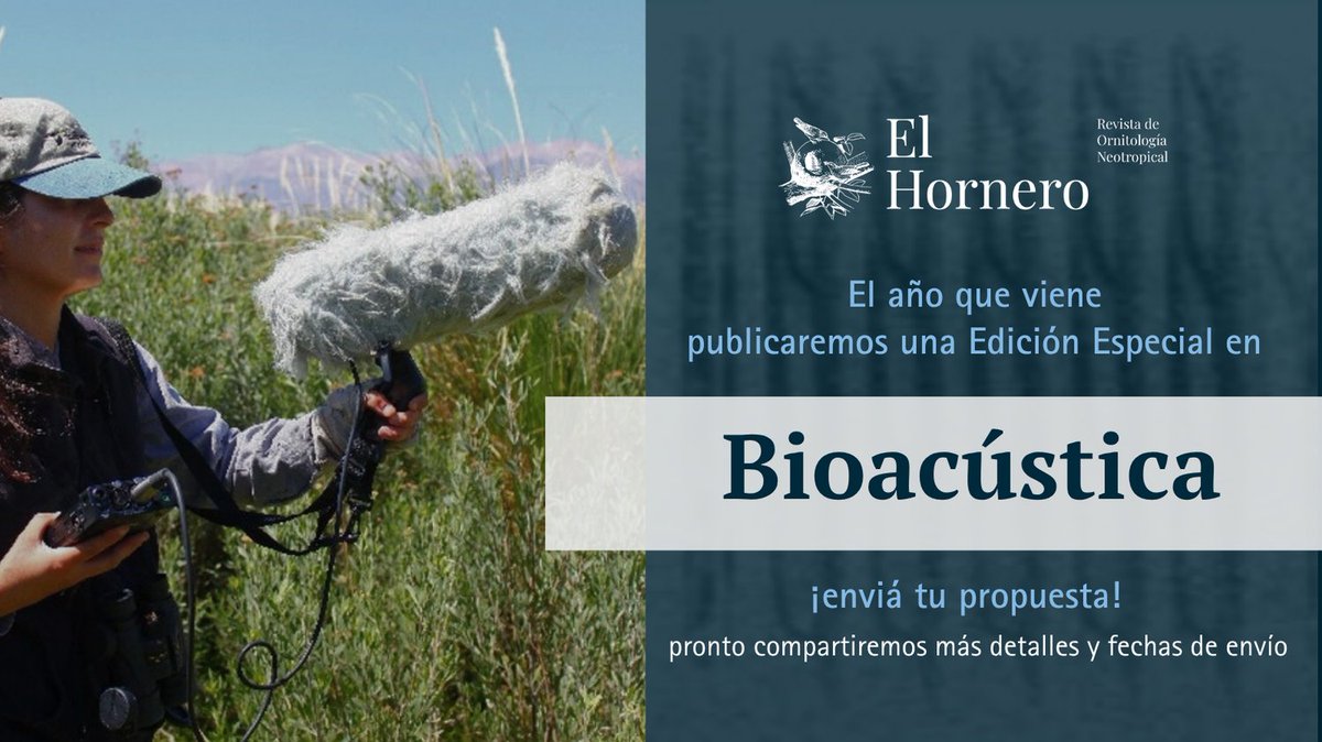📢 En 2026, El Hornero lanzará un número especial dedicado a la bioacústica 🐦🔊.
Muy pronto compartiremos las fechas de envío y las temáticas de interés.
Mientras tanto, podés ir pensando tu propuesta.
👉 bit.ly/42SNWqw