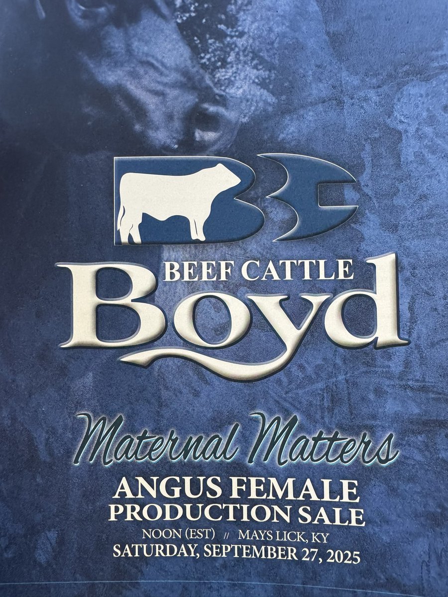 RepThomasMassie's tweet photo. I stopped by the Mays Lick location of Hinton Mills (est 1918) and caught up with Bud Hinton. He literally helped build the foundation of this building in 1968… he held the tape measure! Charlie Boyd and sons were in the store. They’re world renowned breeders of Angus cattle. https://t.co/meoTX1smcC