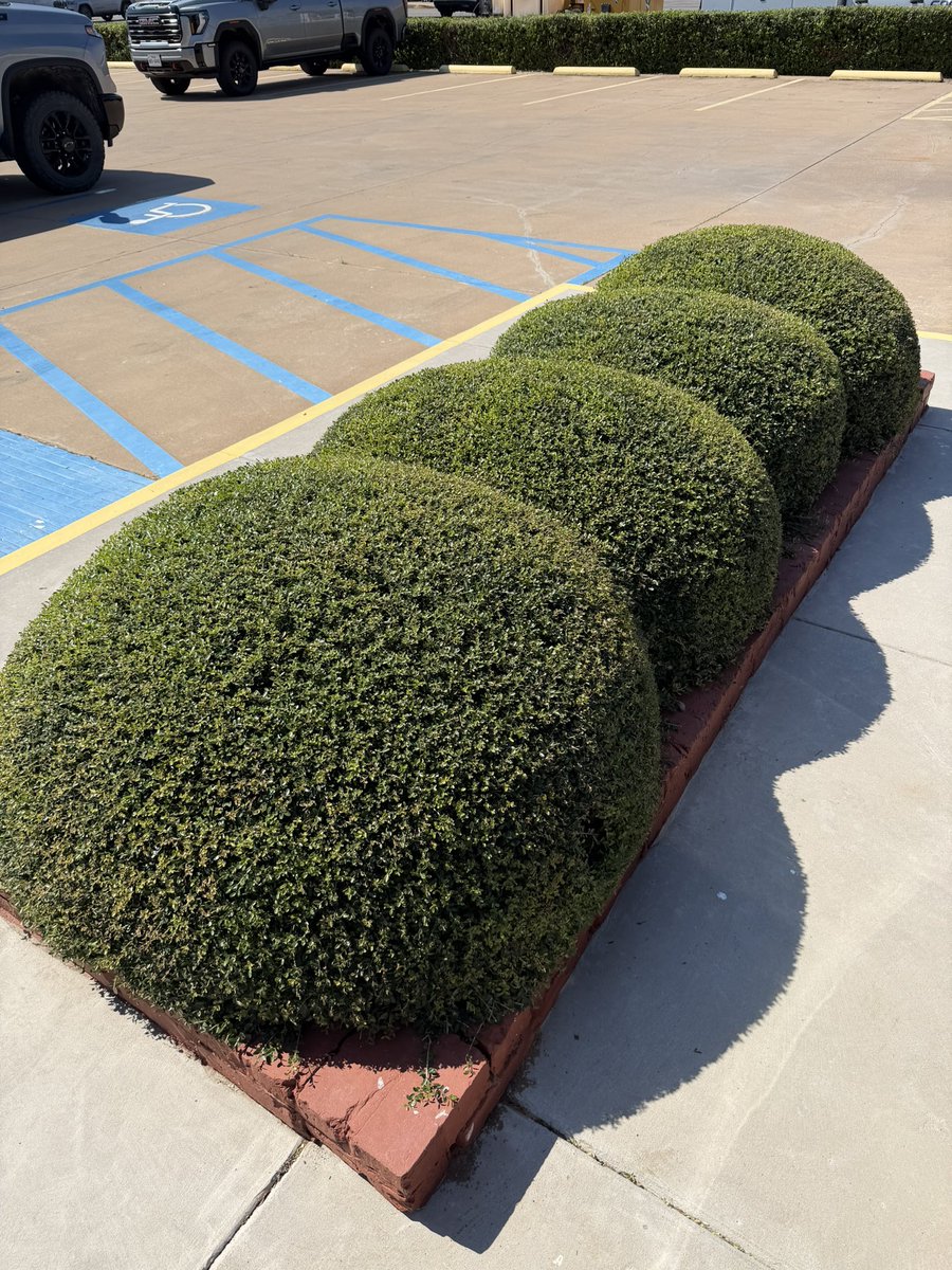 Michael Fiore - Garden Center tweet media