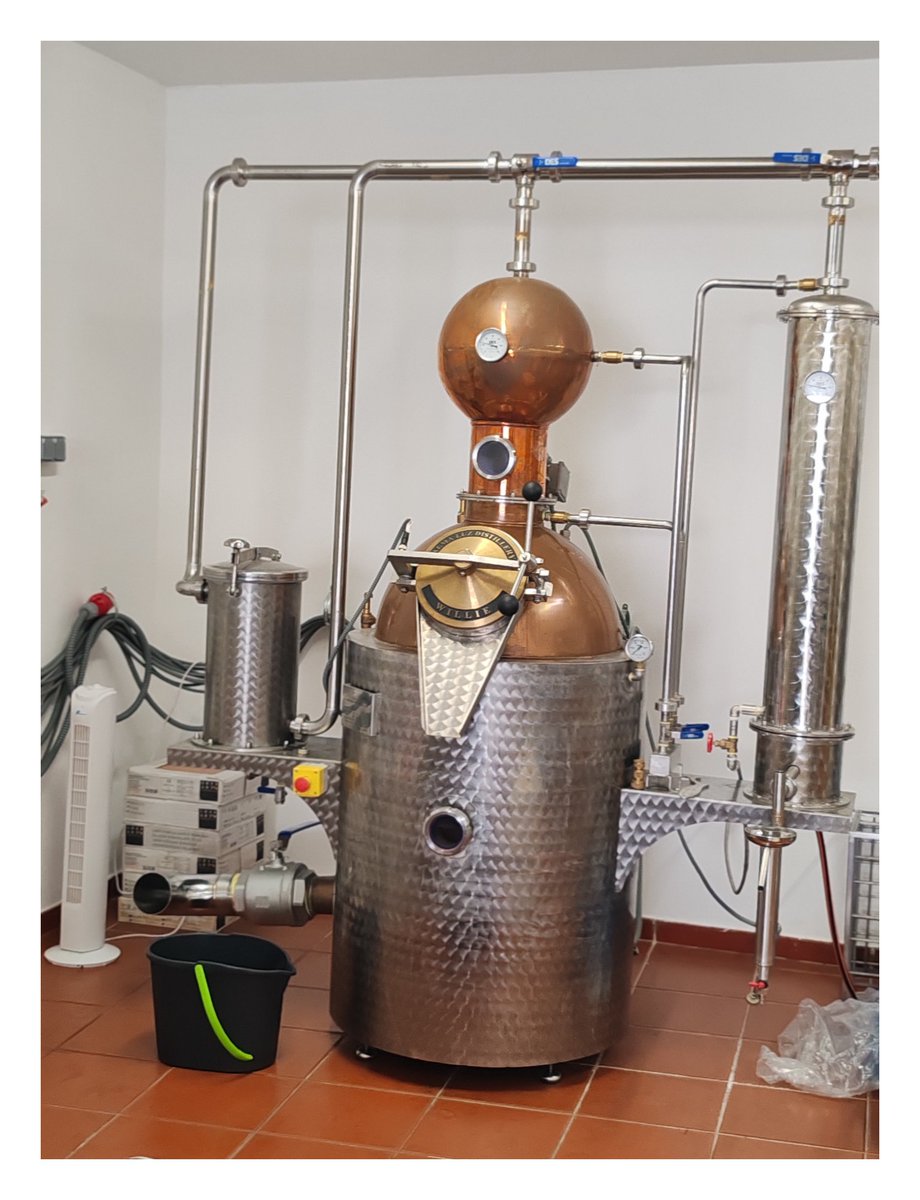BlackBird87000's tweet photo. Visite privée avec dégustation de la distillerie de Gin Alma Luz 👌📍 Un Gin très doux produit ici à Lagos en Algarve ! Si vous êtes amateur de Gin et que vous passez dans le coin, allez-y, Carl se fera un plaisir de vous accueillir ! #Gin #GinOClock #AlmaLuz #AlmaSpirits 🇵🇹🍹 https://t.co/ITtPYufr2U