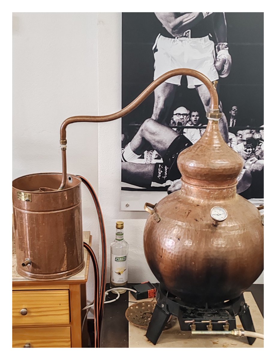 BlackBird87000's tweet photo. Visite privée avec dégustation de la distillerie de Gin Alma Luz 👌📍 Un Gin très doux produit ici à Lagos en Algarve ! Si vous êtes amateur de Gin et que vous passez dans le coin, allez-y, Carl se fera un plaisir de vous accueillir ! #Gin #GinOClock #AlmaLuz #AlmaSpirits 🇵🇹🍹 https://t.co/ITtPYufr2U