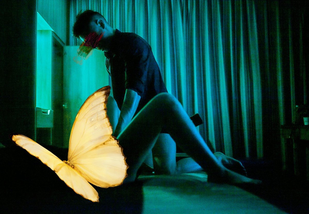 TS🦋snie tweet media