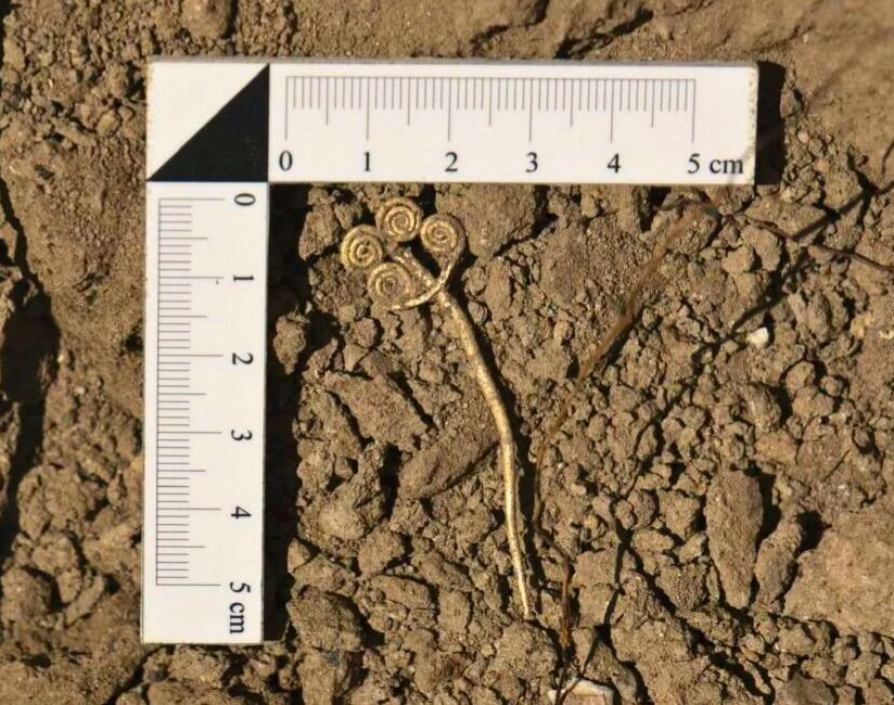 A gold brooch, a rare piece of jade, and a bronze pin dated to approximately 2500 B.C. have been uncovered in northwestern Turkey at the site of Hisarlik—also known as ancient Troy. The well-preserved ring brooch is one of only three known in the world!

archaeology.org/news/2025/10/0…