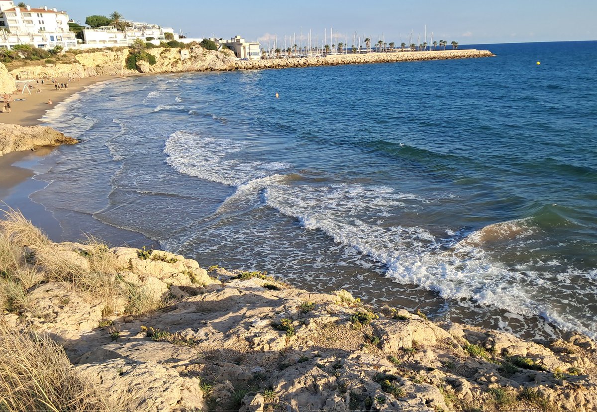 Vakapiupiuu's tweet photo. Ahir 24'7 m°C a #Balmins en lent refredament després de 3 dies de la #llevantada de les Terres de l'Ebre.
Ahir 1 #octubre2025
#TemperaturadelAiguadelMar https://t.co/uQcEqLRUB9