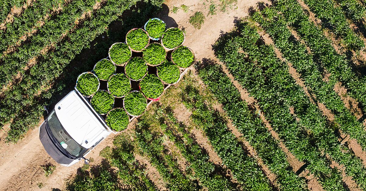 JamesBishopMS's tweet photo. Did you know you can use investment losses to offset your capital gains and reduce your tax bill? Learn more about how tax-loss harvesting can work for you: https://t.co/QvrN4vRh2Q https://t.co/9C80COWnyn