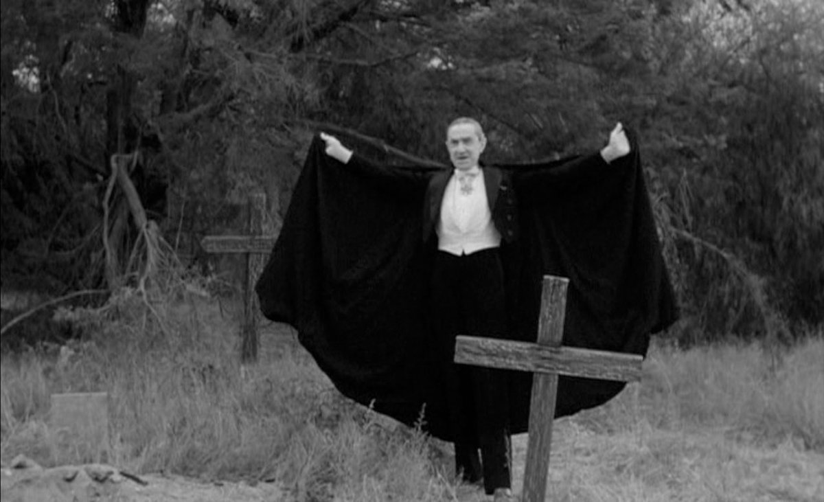 The Film Stage 📽 tweet media