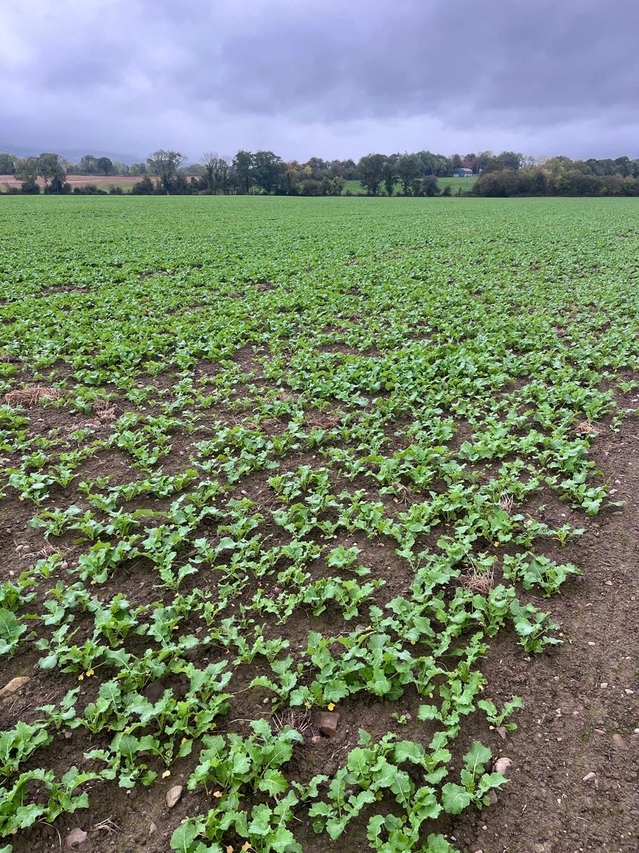 John Dunne tweet media