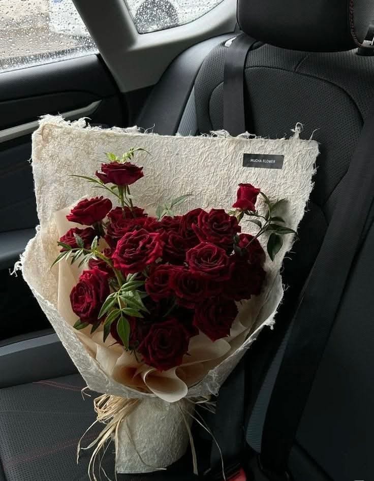 أحياناً، أبسط الأشياء تعني الكثير. 💗