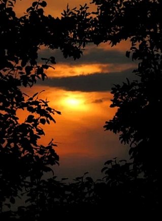 sanjaraic1's tweet image. Nearing night heightened senses.

#7syllablesentence #sense #oneliner #sunset #photography