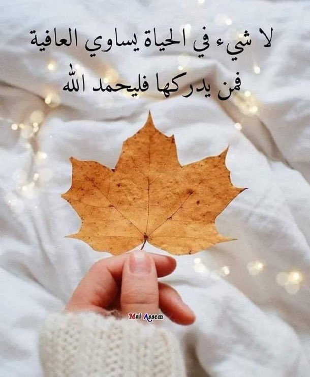 سُبْحَﭑنَﷲً͜وبحَـــــــمّدِھِْ  🌿
سُبْحَﭑنَﷲ͜ ﭑلعَظِيّــــــــــﻣ
الحمد لله رب العالمين 
#ليلة_الجمعة 🌹