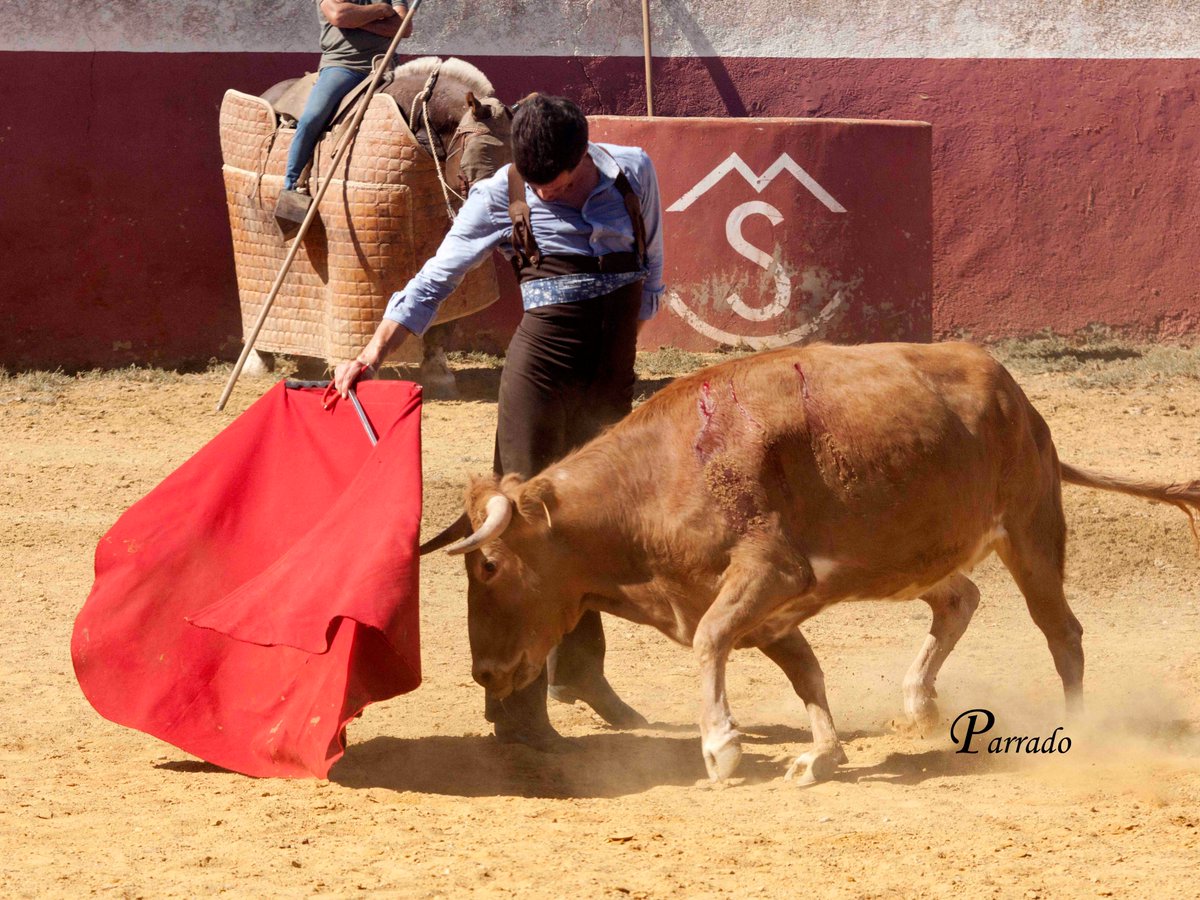 LMParrado's tweet photo. Si tuviera que explicar qué es ser un pedazo de torero enseñaría fotos como estas de @infodavidgalvan hace un rato en casa de Paco Sorando... https://t.co/Itiu02LCAu