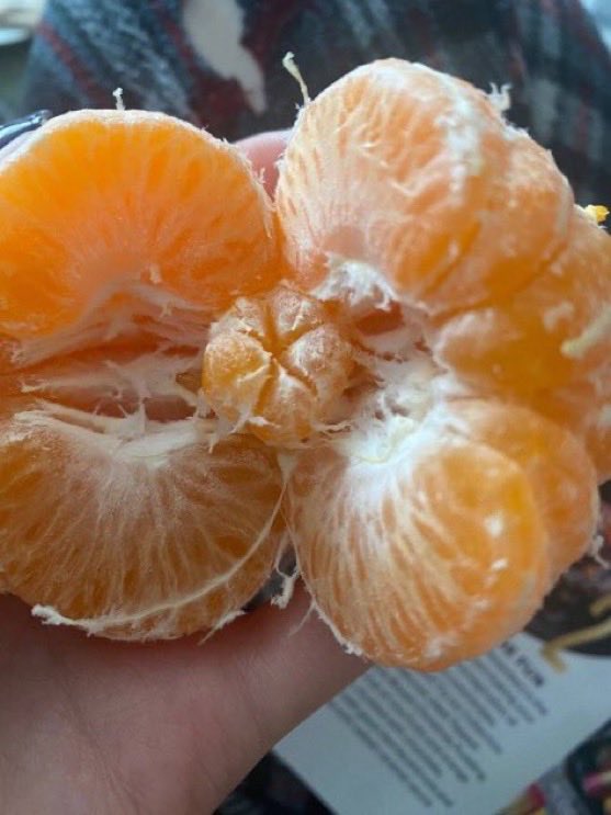 yabirgel's tweet photo. şans mandalinası favlayan herkesin hayatının güzelliklerle dolması dileğiyle https://t.co/OCOAu0WALS
