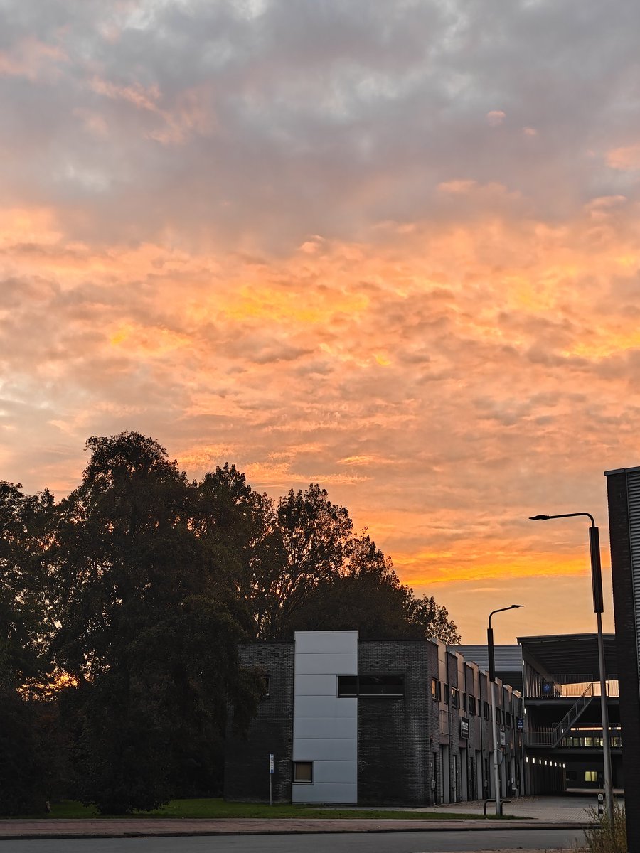 Adrián 🔥 tweet media