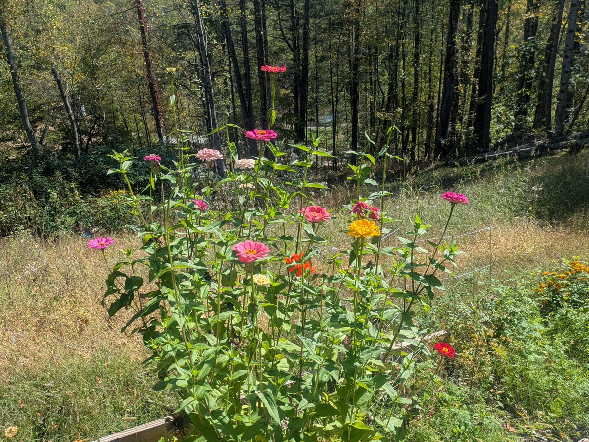 bbb234 (@bigbadbob234) on Twitter photo  bbb234 (@bigbadbob234) on Twitter photo