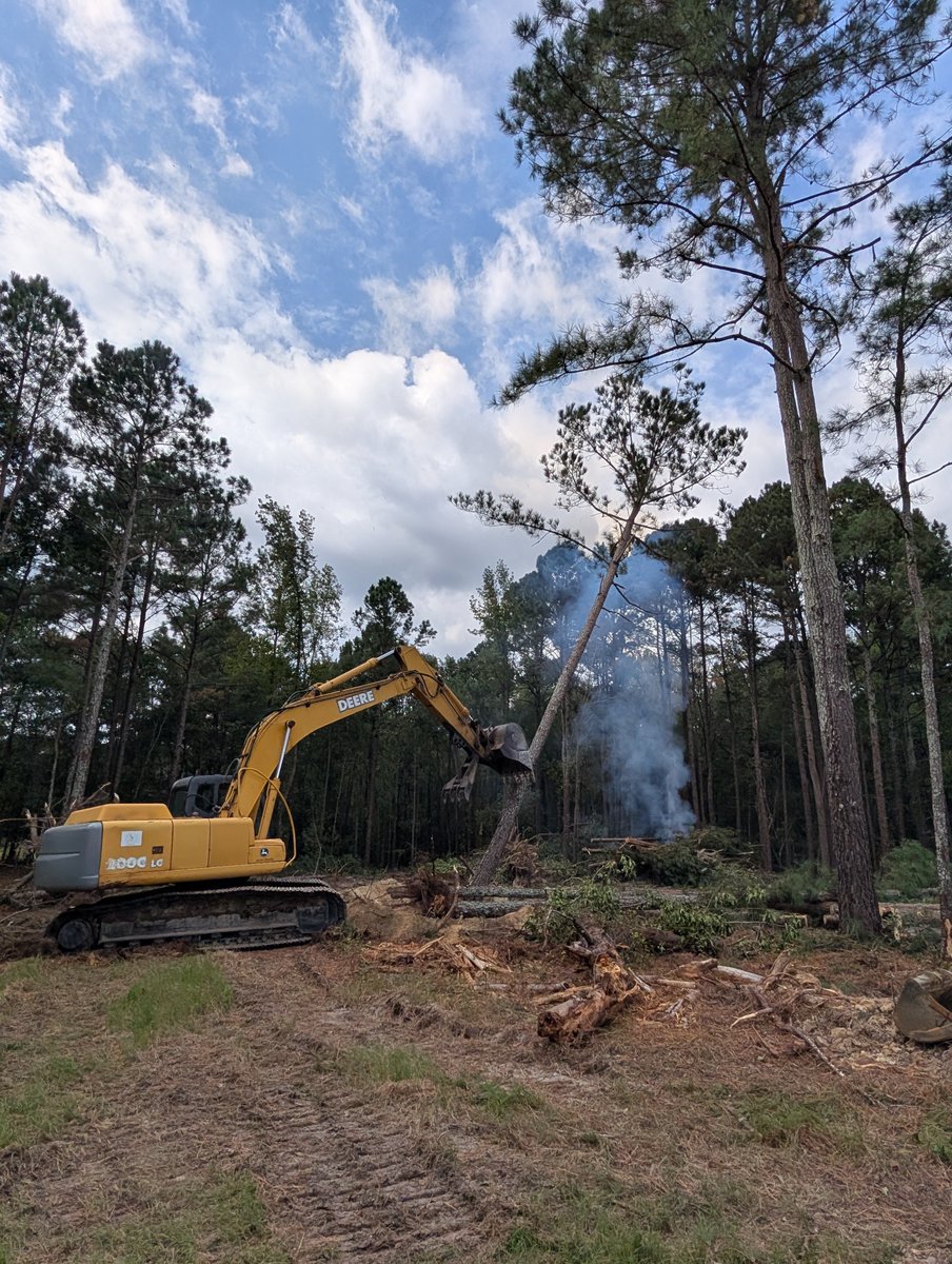 A milestone for First Tee Sandhills as tree clearing has commenced on its Community Hub project in Cameron.  We're enjoying our contribution as architects of this great facility to include a driving range, short-game area, and nine-hole short course.

<a href="/thefirstteesand/">First Tee – Sandhills</a>