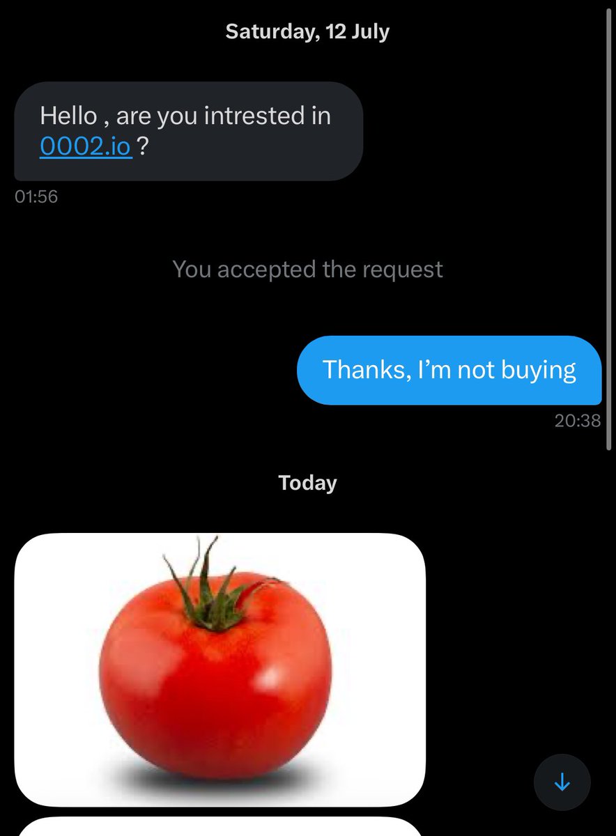 I’m honestly flattered by this guy’s out-of-the-box follow-ups on his initial domain offer in July😳🍅