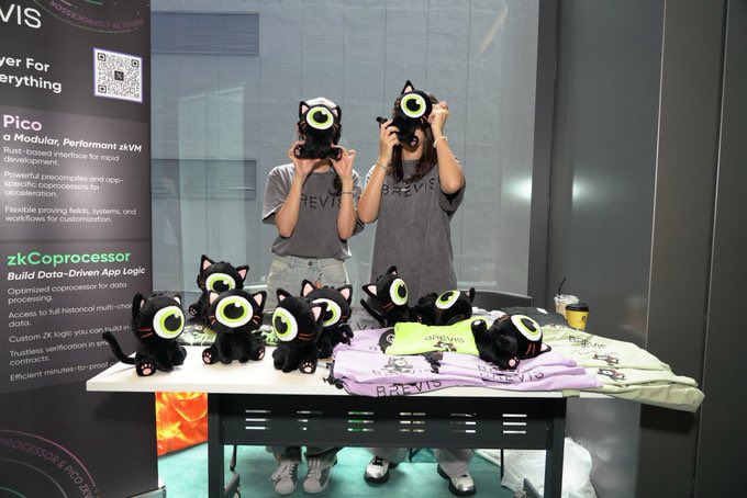 I don't drink.
I don't party.
I don't procrastinate.
I study Brevis zk.

I wake up every day preaching <a href="/brevis_zk/">Brevis</a> by driving real value and expanding the ZK ecosystem.

Pass it on!!