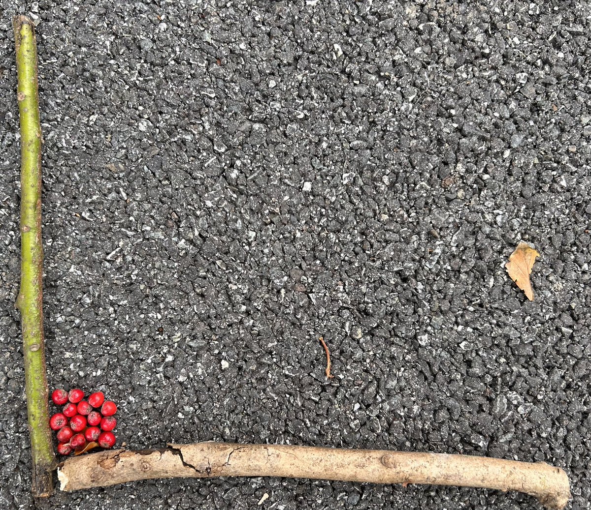 Class J4 - Mr. D. Evans tweet media