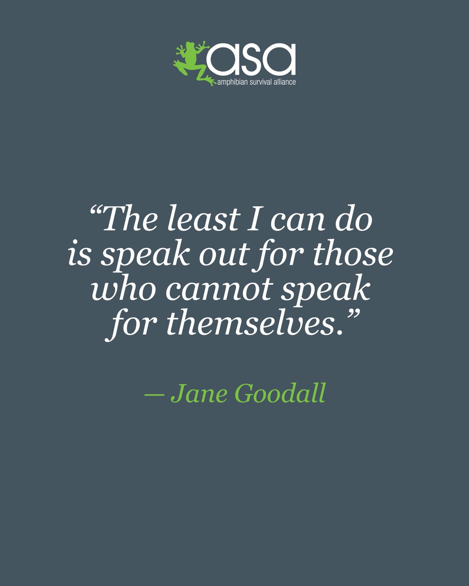 amphibiansorg's tweet photo. We join the world today in mourning the loss of Dr. Jane Goodall, a voice for nature and hope for our planet.

“What you do makes a difference, and you have to decide what kind of difference you want to make.” — Jane Goodall

We celebrate her life and legacy.
#JaneGoodall https://t.co/YcdJaHCuid