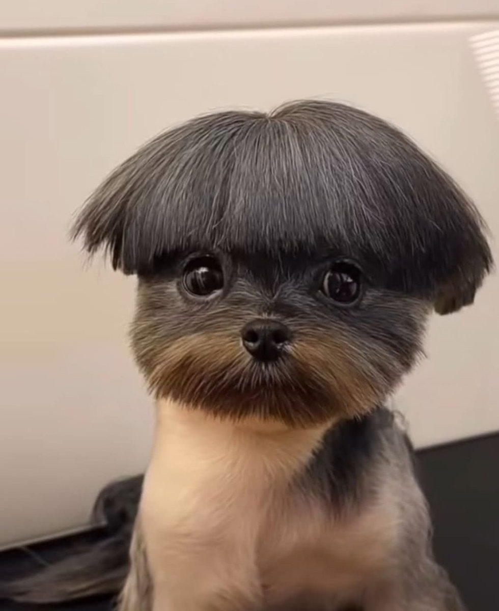 Trumpet6752's tweet photo. @Tim_Burgess ?? https://t.co/7B1kJcrHLe
