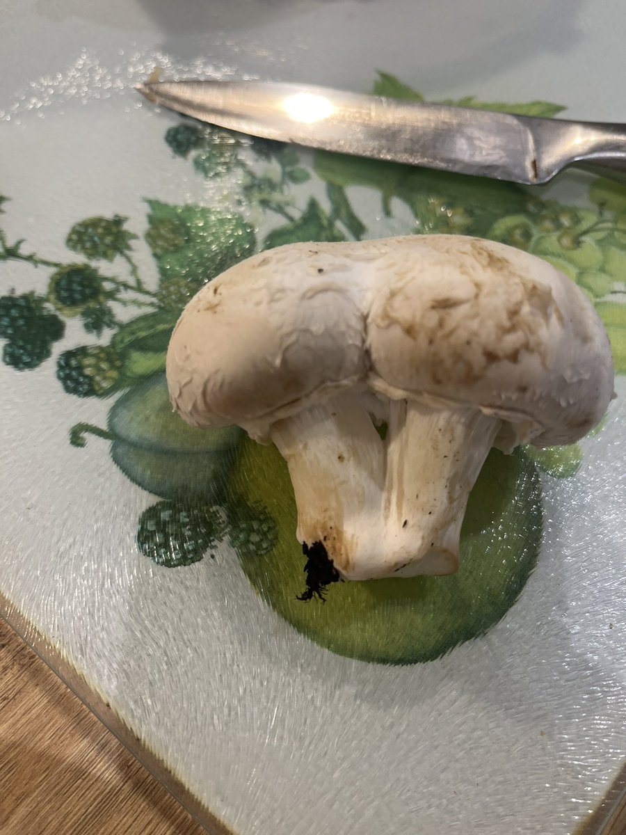 Double mushroom…