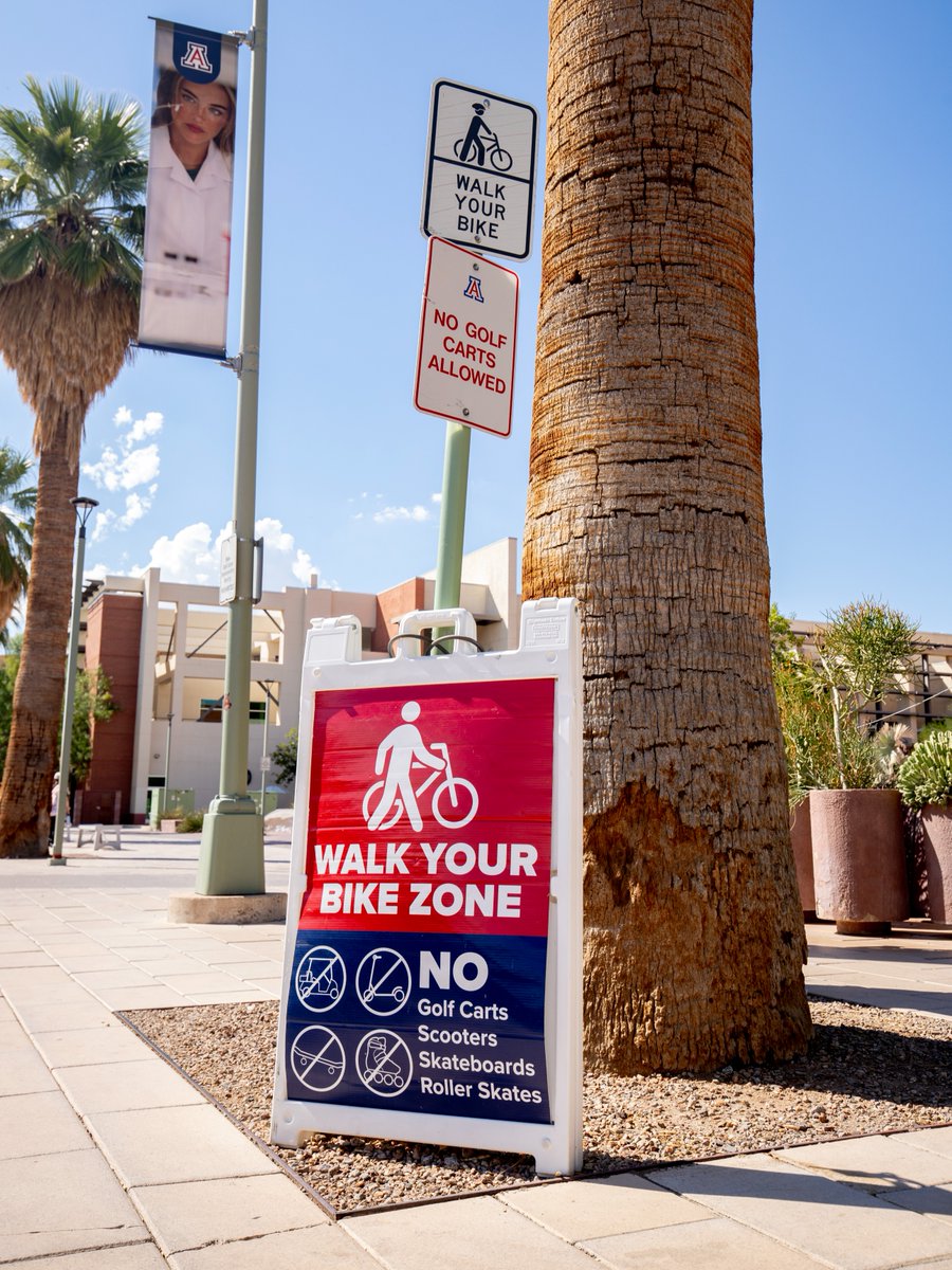 Friendly reminder: 🚲🚶 Walk-your-bike zones are for feet only. No scooters, boards, or carts. 

Thanks for keeping it safe for Wildcats everywhere. 🐾

 #SafeCampus #MindfulMoves