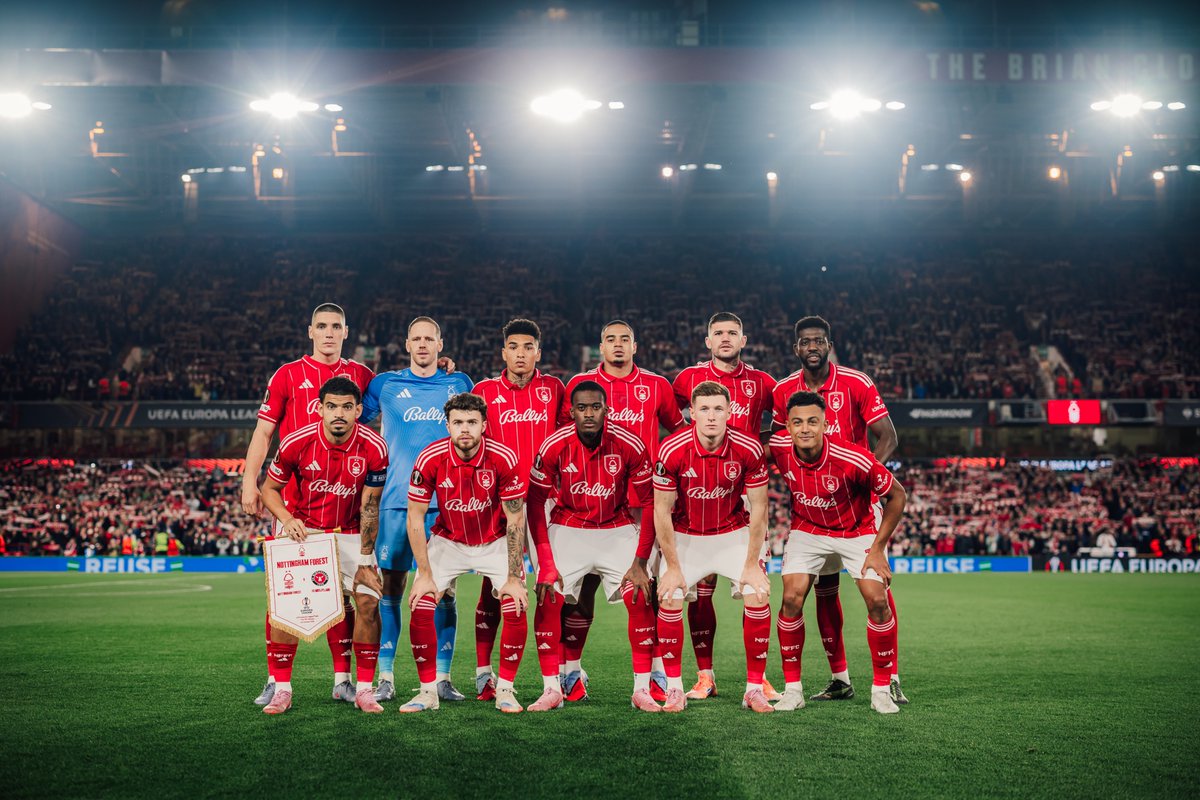 Forest in Europe. ❤️