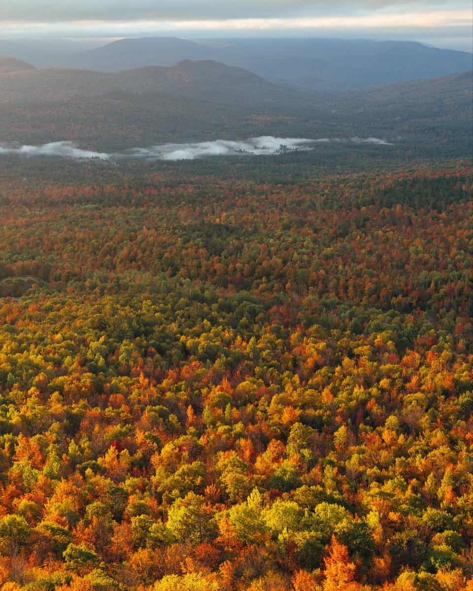 viewfinderthis's tweet photo. Morning Light in The Adirondacks https://t.co/z7tFq7wzHL