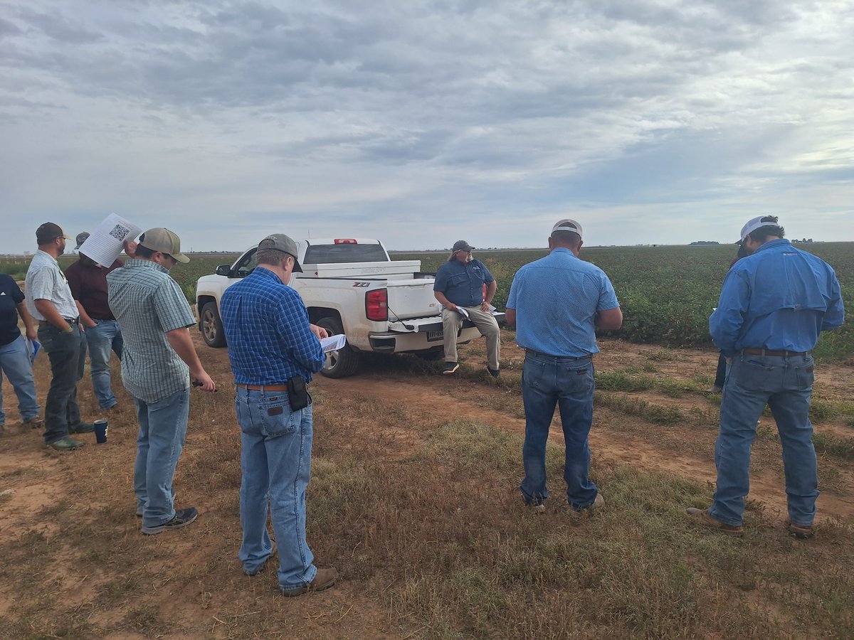 It has been a busy week in front of the public with field days highlighting the year's research and educational youth ag fairs!  It has been good!