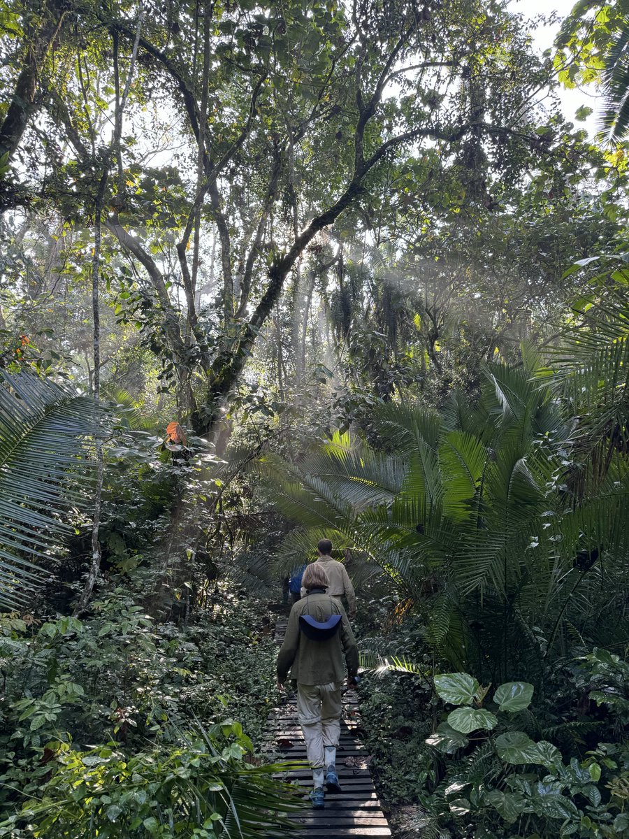 Andrew Musk tweet media