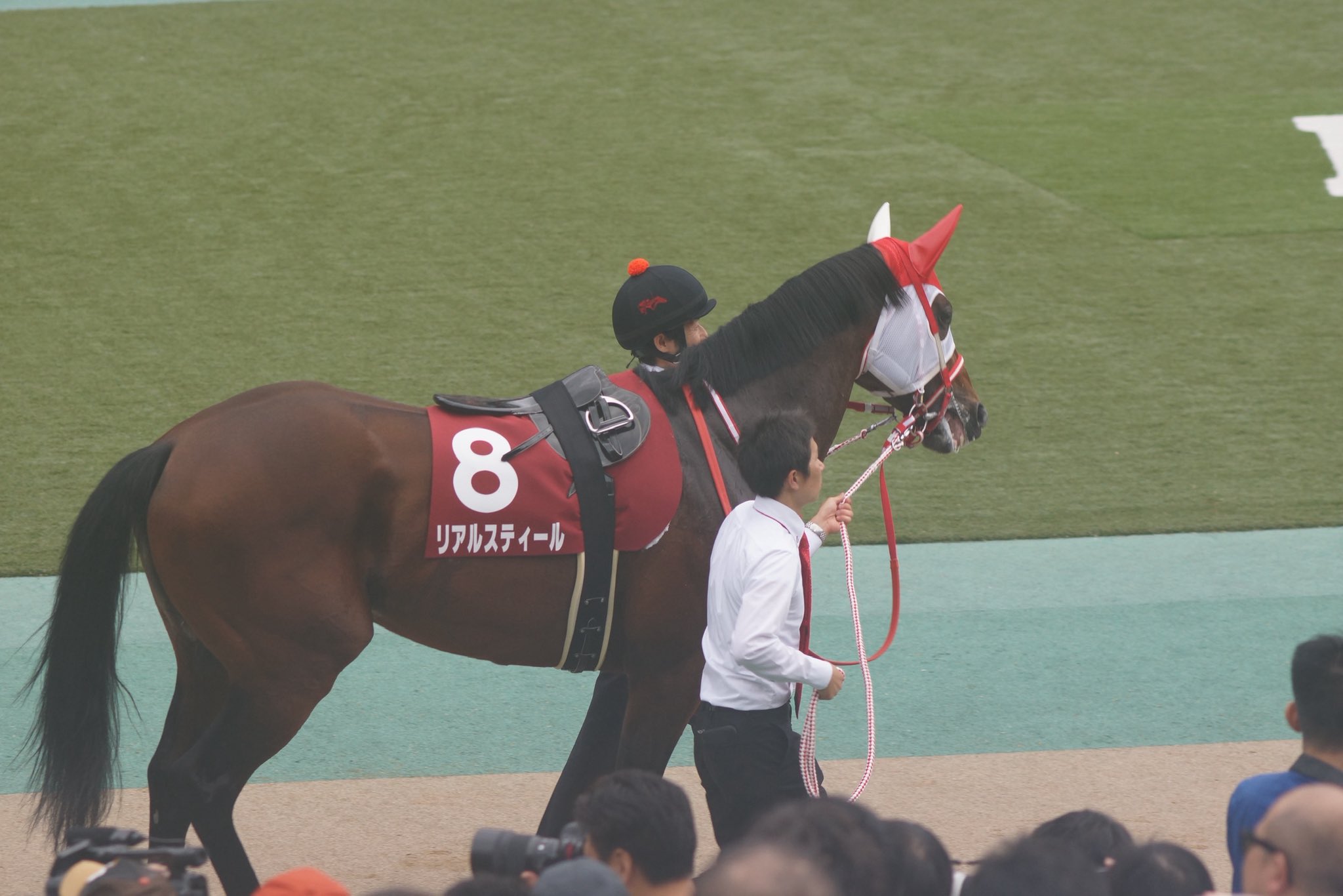 ♘ミスターシービー　七宝焼　銘々皿　5枚セット♘　競馬　馬 ♘ミスターシービー 七宝焼 銘々皿 5枚セット♘ 競馬 馬