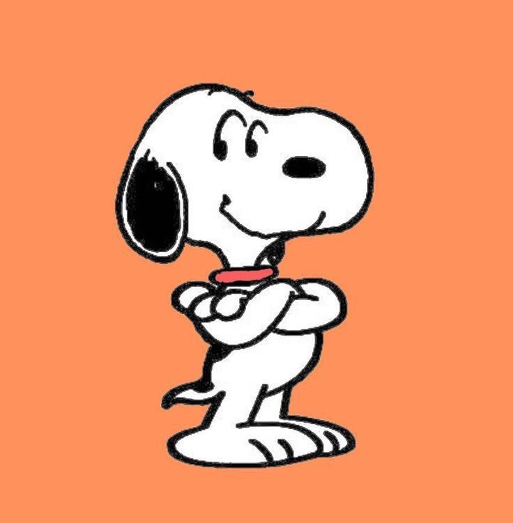 9-1-1 as snoopy tweet media