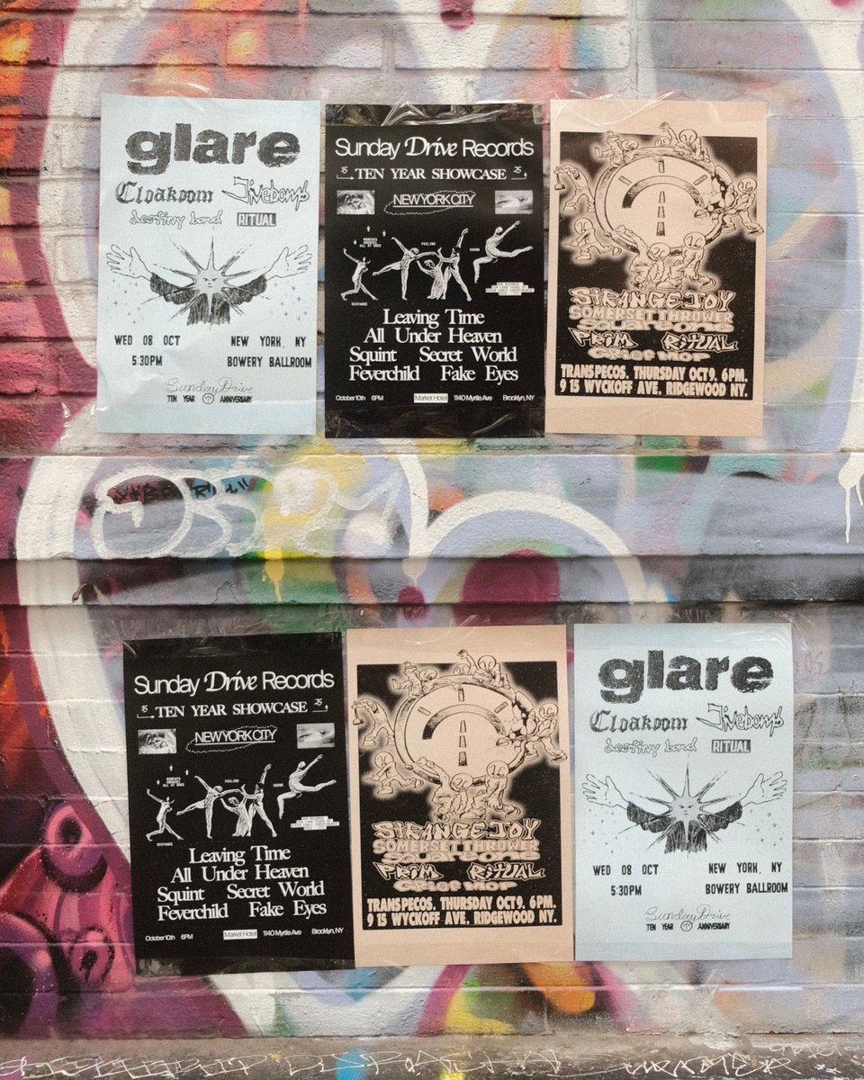 TEN YEARS OF SDR. NEXT WEEK IN NYC.