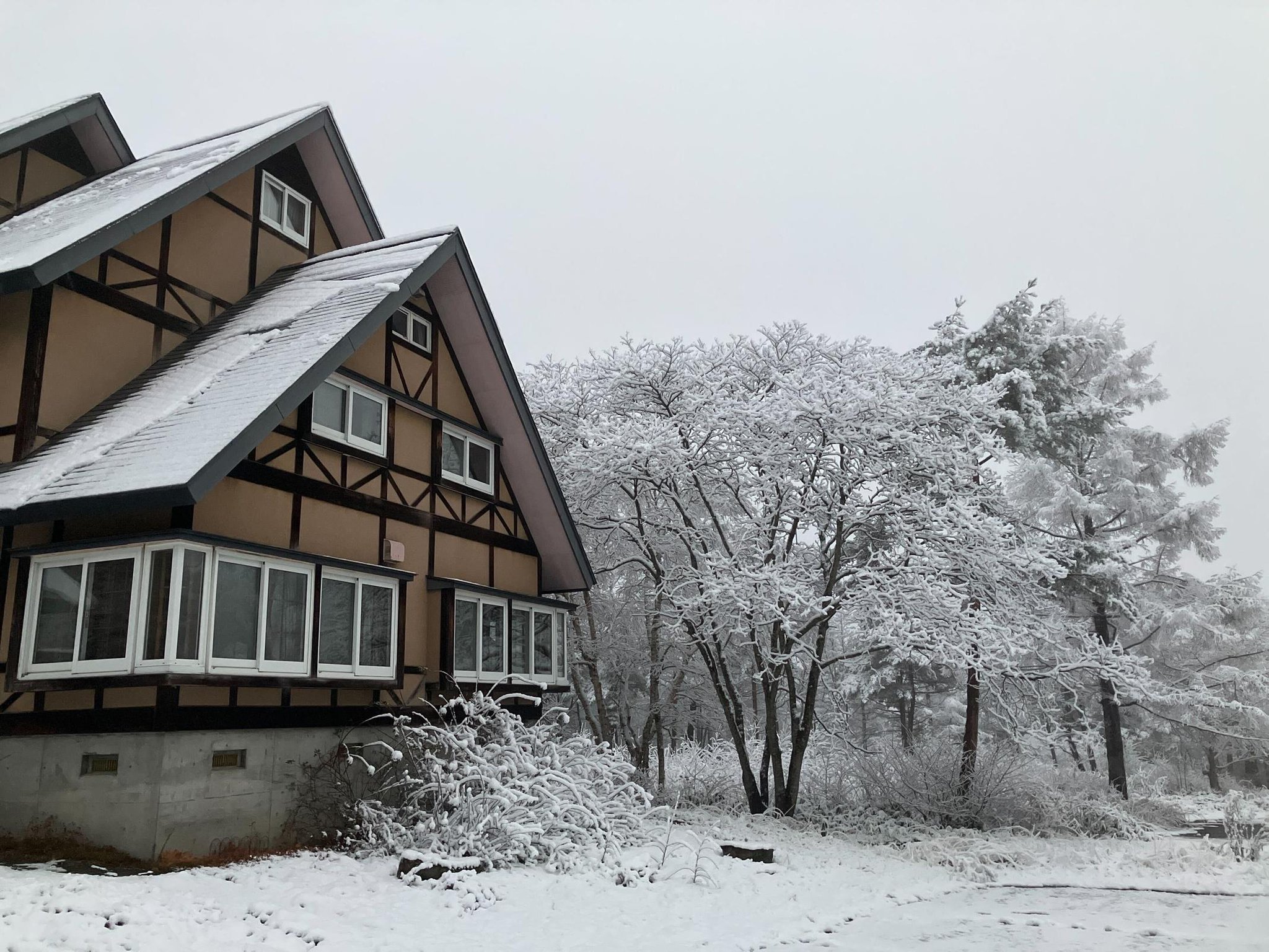 桃給給 安比2泊（2/8～） 桃給給 安比2泊（2/8～） 桃給給 安比2泊（2/8～）