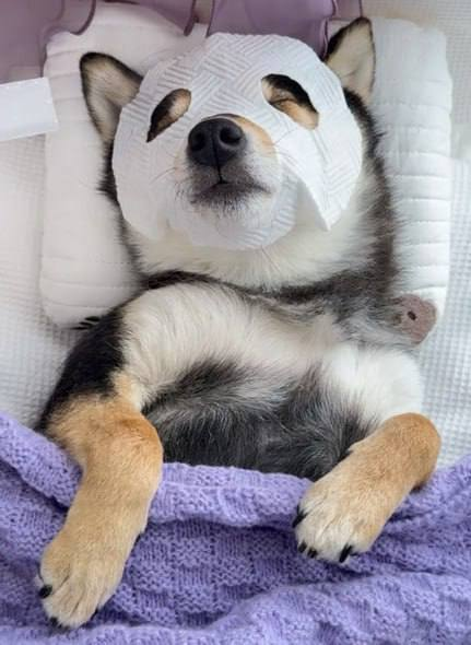 Manyu Community tweet media