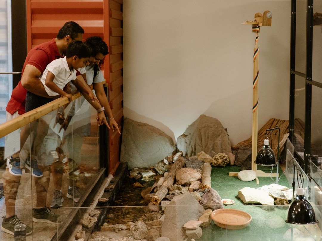 Who said learning can't be fun? There are so many ways to have an educational (and fun!) time in Grand Rapids. Have a blast while immersing yourself in art, history, nature, science, and more with our guide to educational experiences in the area!

experiencegr.com/articles/post/…