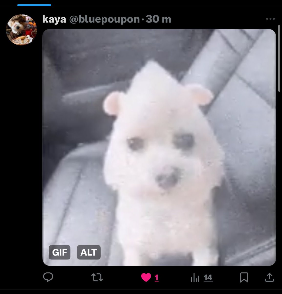 imeow4money's tweet photo. @bluepoupon why’d you delete this kaya https://t.co/f05jiGnAox